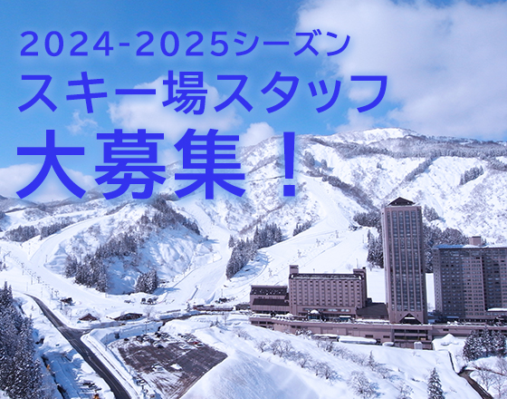 DK122605☆ナスパ NASPA スキーガーデン リフト1日ご招待券 2枚