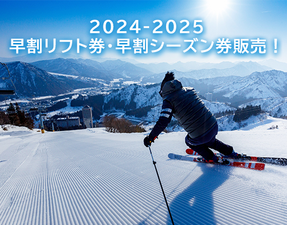 NASPA ナスパスキーガーデン　平日リフト NASPA スキーガーデン 1日リフト券10枚