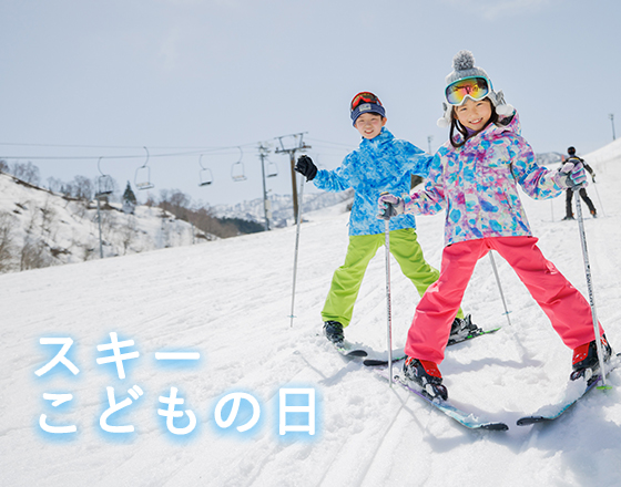 NASPA SKI GARDEN リフト1日50%off割引券1枚（匿名発送】ナスパスキー 